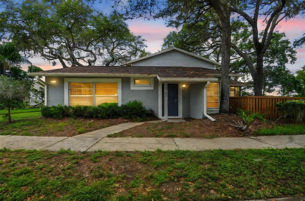 14732 MORNING DRIVE LUTZ, FL 33559