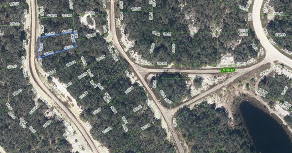 259 DARGEN DRIVE LAKE PLACID, FL 33852