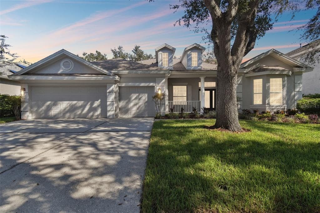 10244 SHADOW BRANCH DRIVE TAMPA, FL 33647