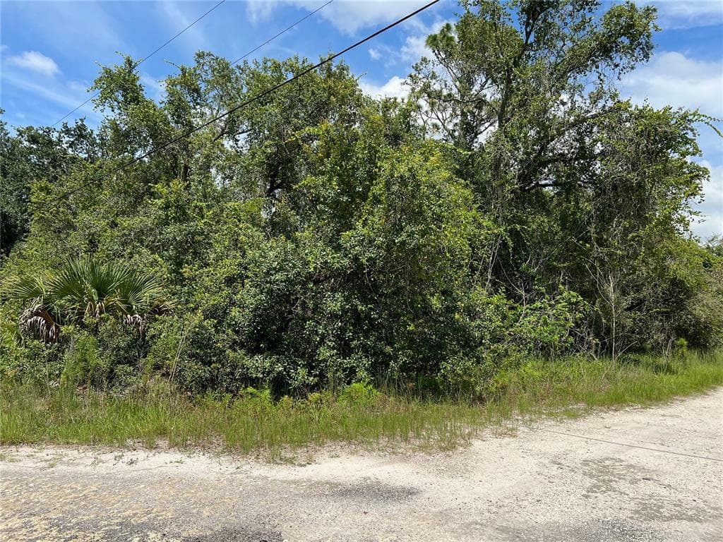 10232 FIELD STREET NEW PORT RICHEY, FL 34654