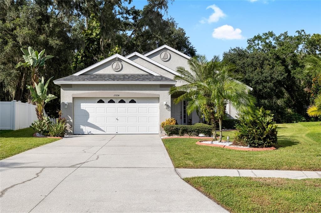 15934 STAGS LEAP DRIVE LUTZ, FL 33559