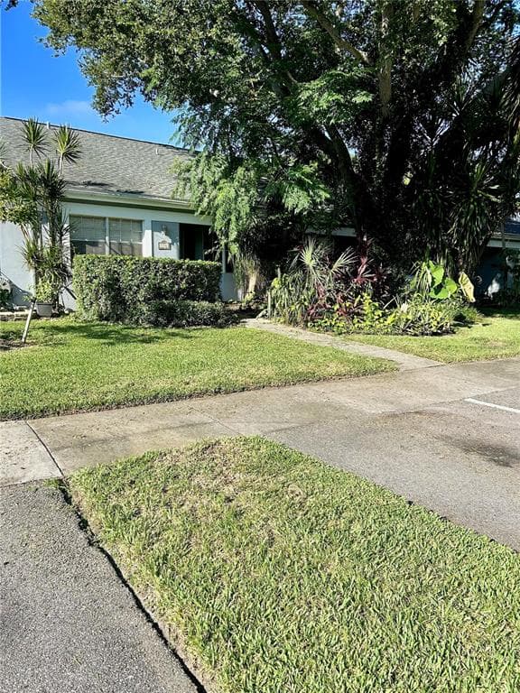116 WICKFORD STREET E SAFETY HARBOR, FL 34695
