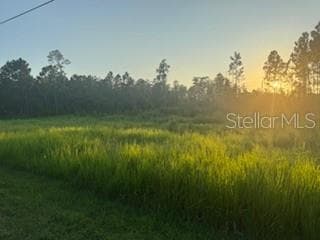 8225 WOODLEAF BOULEVARD WESLEY CHAPEL, FL 33544