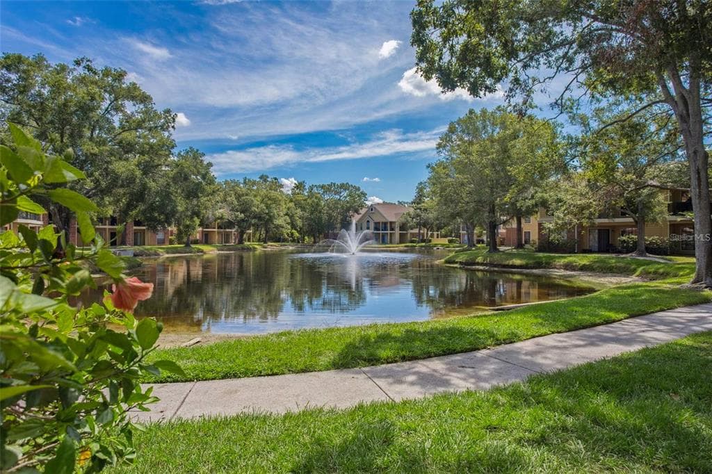 8709 FANCY FINCH DRIVE UNIT 204(Furnished) TAMPA, FL 33614