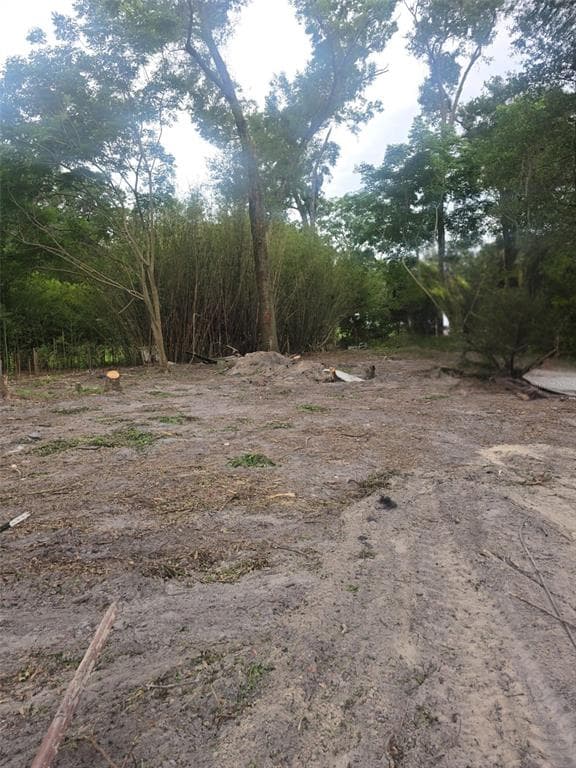 16612 SE 25TH AVENUE SUMMERFIELD, FL 34491