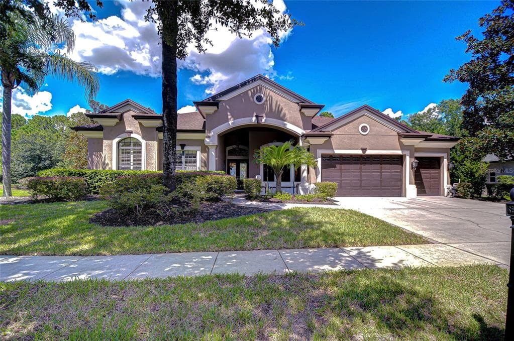 21327 LAKE VIENNA DRIVE LAND O LAKES, FL 34638