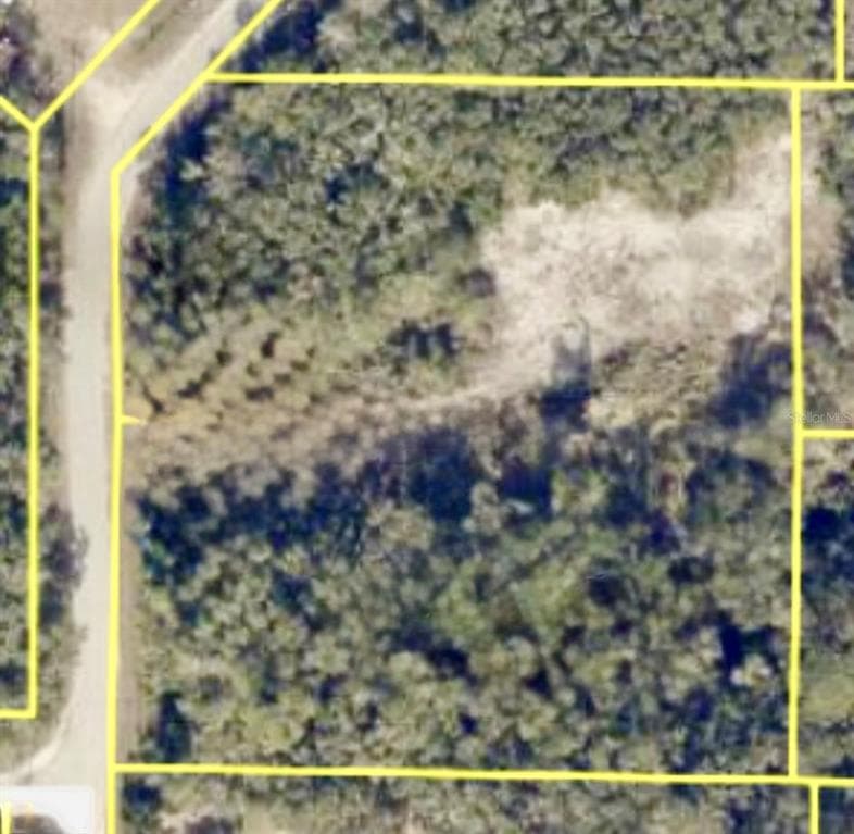 9280 ROUSSEAU STREET WEBSTER, FL 33597