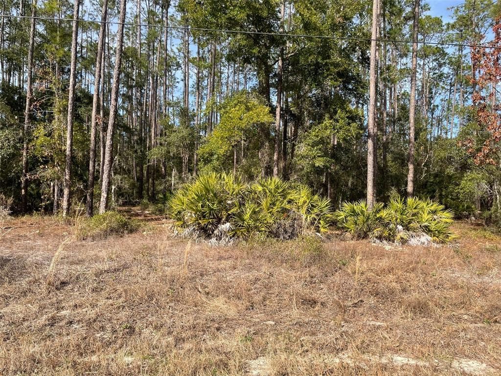 LOT 23 SW TIGER LAKE BOULEVARD W DUNNELLON, FL 34431
