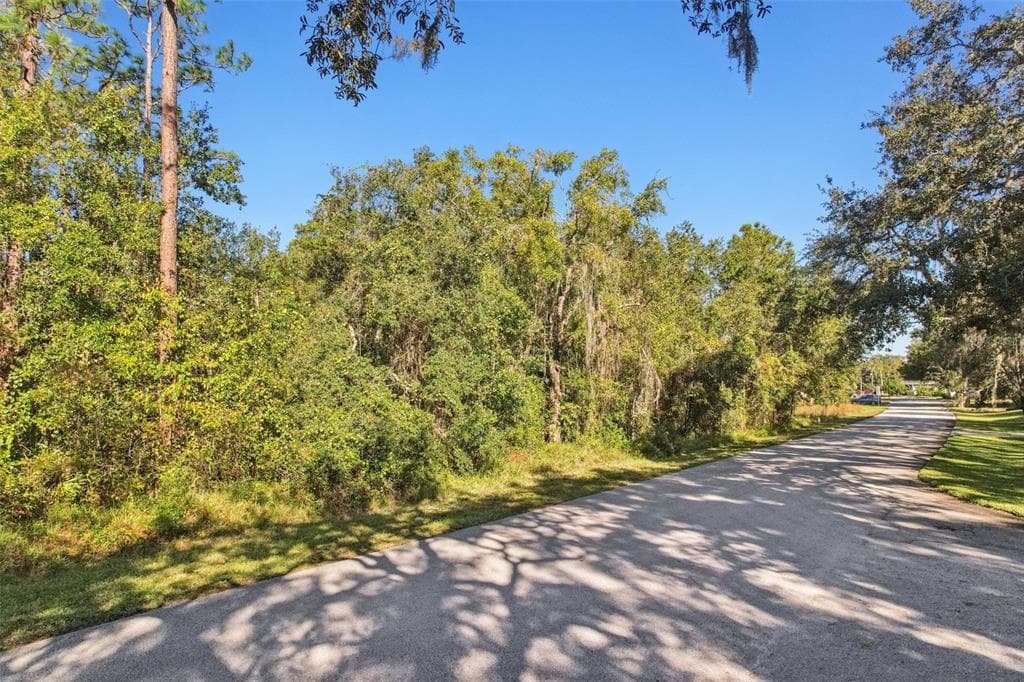 12347 QUAIL RIDGE DRIVE SPRING HILL, FL 34610