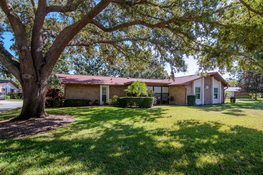 2281 SHELLY DRIVE UNIT D PALM HARBOR, FL 34684