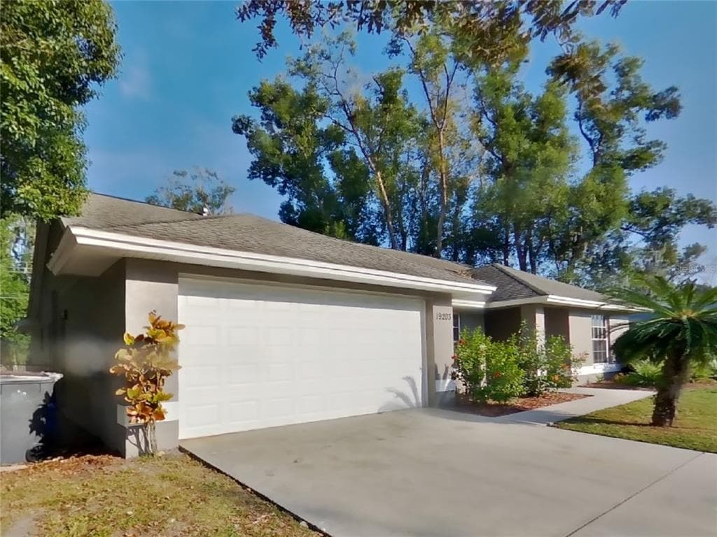 19203 SUNLAKE BOULEVARD LUTZ, FL 33558