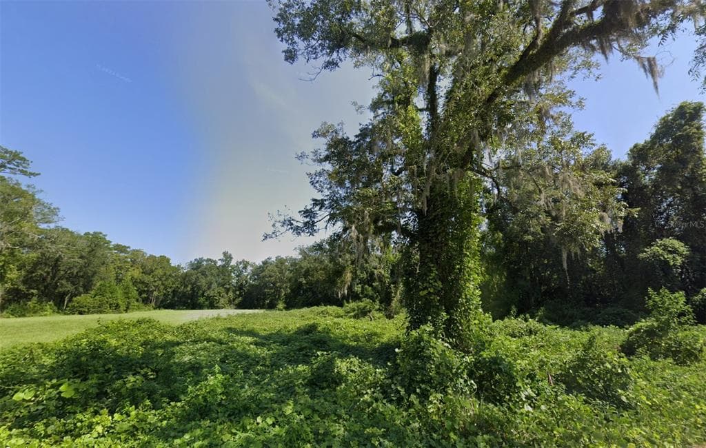 150 GEORGIA STREET MONTICELLO, FL 32344