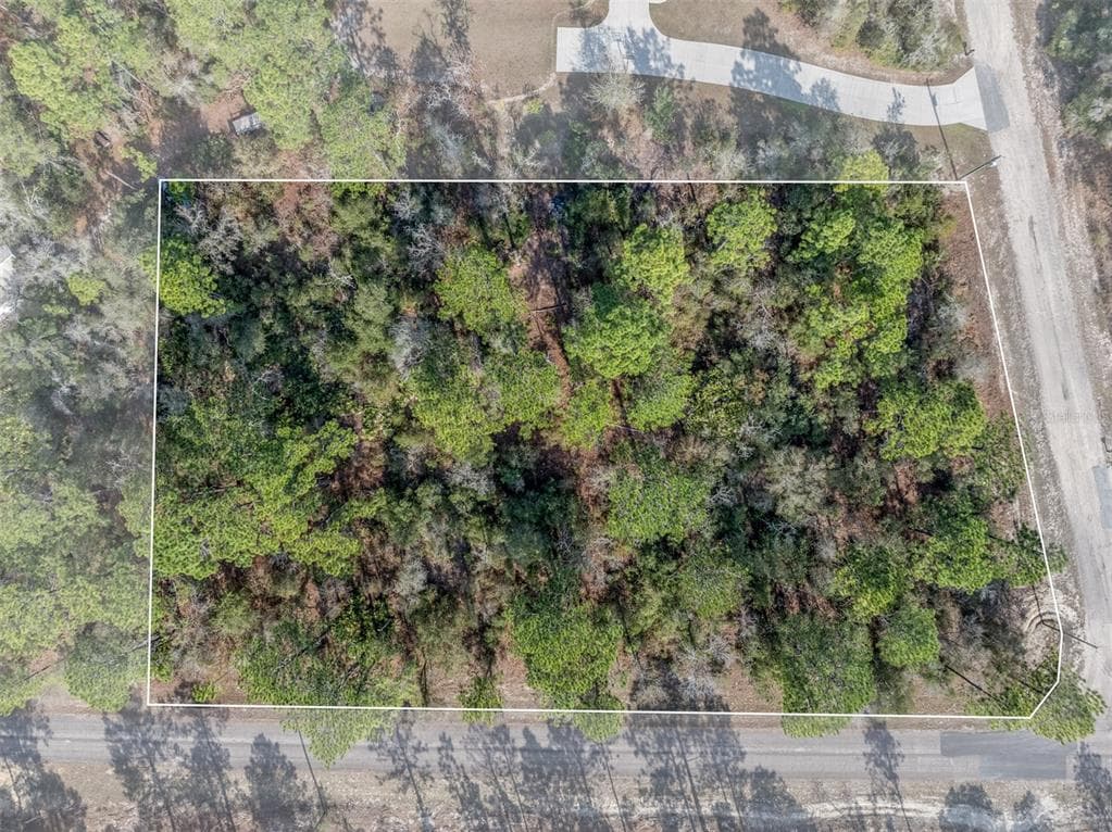 7082 N TREEHAVEN TERRACE CITRUS SPRINGS, FL 34433