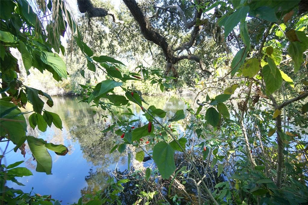 1424 E PARK CIRCLE TAMPA, FL 33604