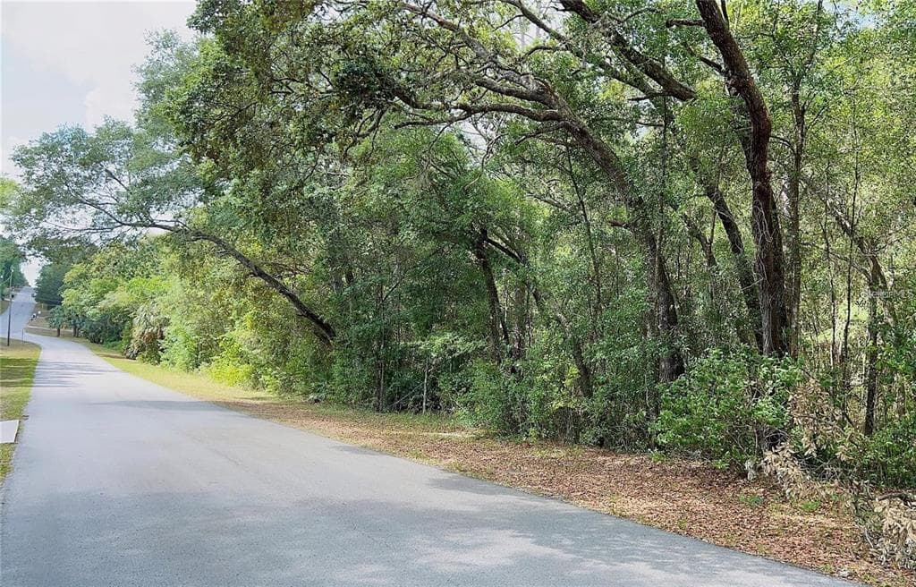 8 S BAUER ROAD LECANTO, FL 34461