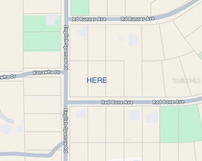 13189 RED BONE AVENUE WEEKI WACHEE, FL 34614