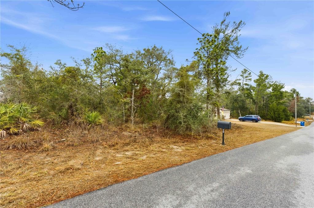 11063 LIBERTO ROAD WEEKI WACHEE, FL 34614