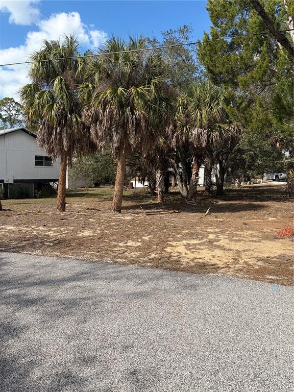 0 FISHMAN AVENUE WEEKI WACHEE, FL 34607