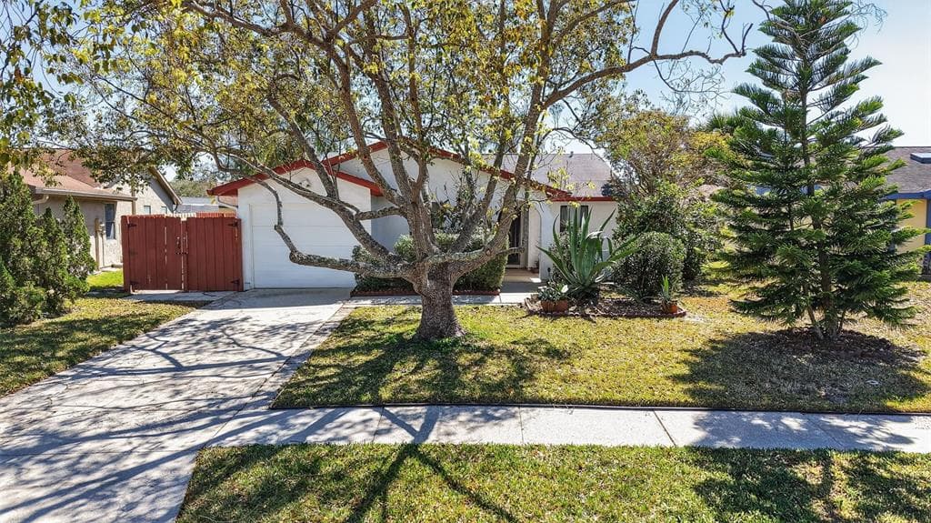 215 LAKE CHARLES COURT OLDSMAR, FL 34677