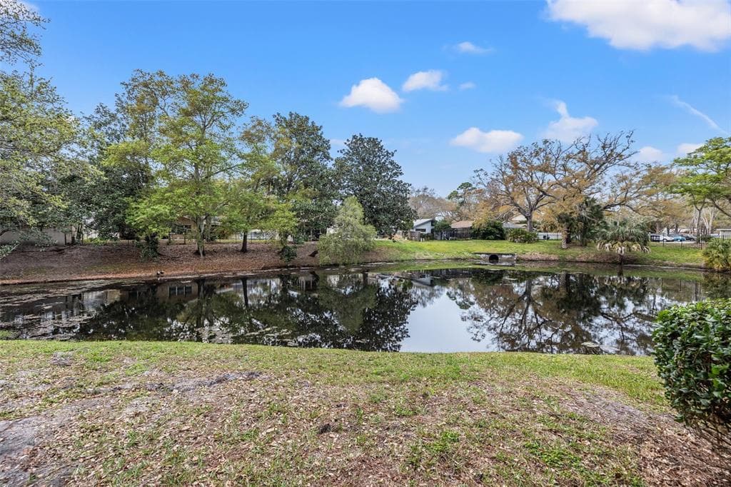 3038 EASTLAND BOULEVARD UNIT F101 CLEARWATER, FL 33761