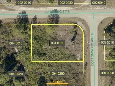 502 COTTONWOOD AVENUE S LEHIGH ACRES, FL 33974
