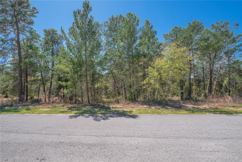 8 HEUCHERA COURT E HOMOSASSA, FL 34446