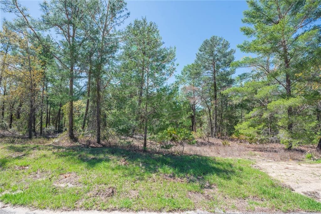 6 HEUCHERA COURT E HOMOSASSA, FL 34446