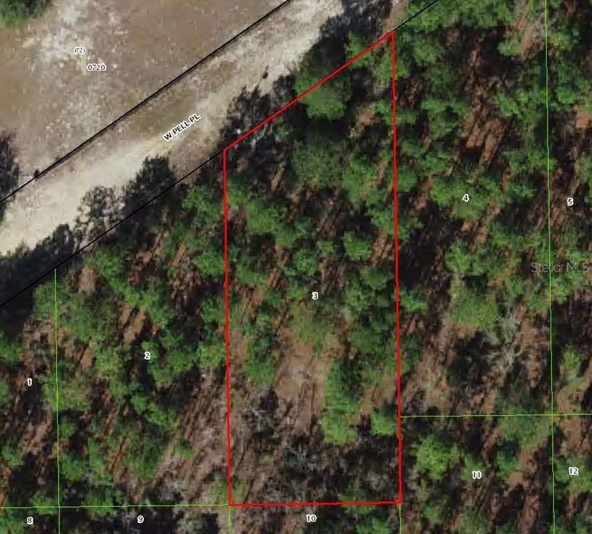 6046 W PELL PLACE DUNNELLON, FL 34433