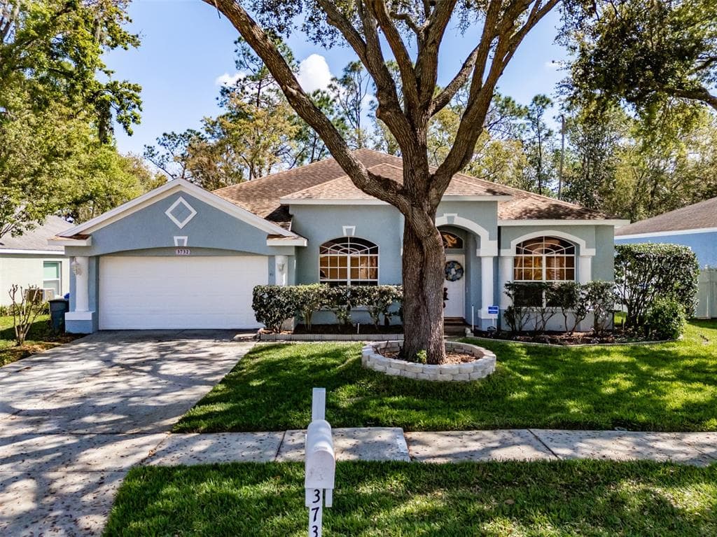 3732 HOLLOW WOOD DRIVE VALRICO, FL 33596