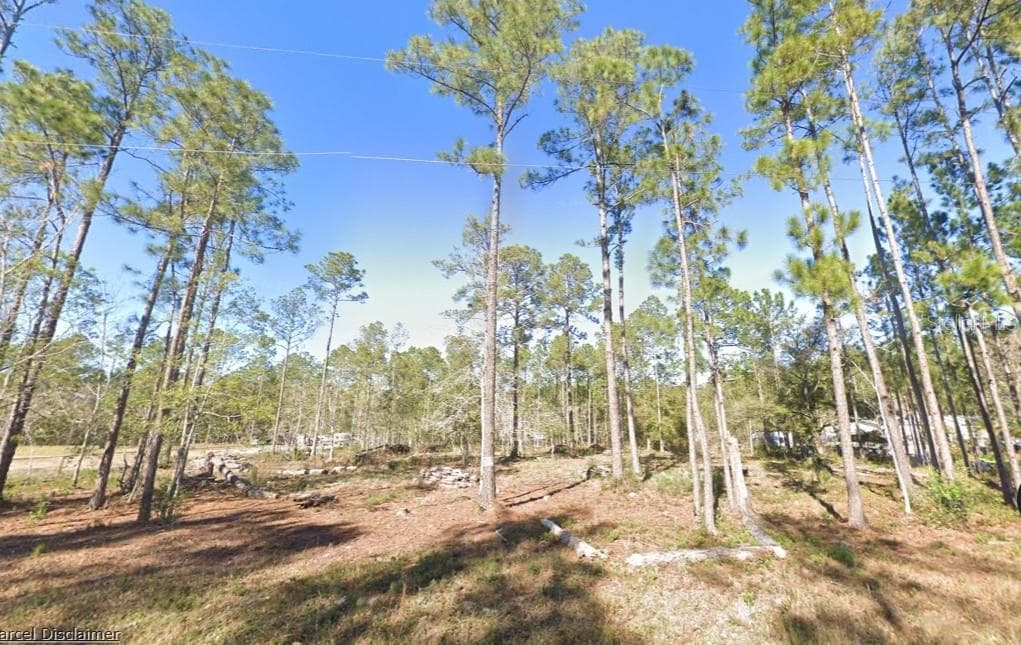 4335 THERESA STREET HASTINGS, FL 32145