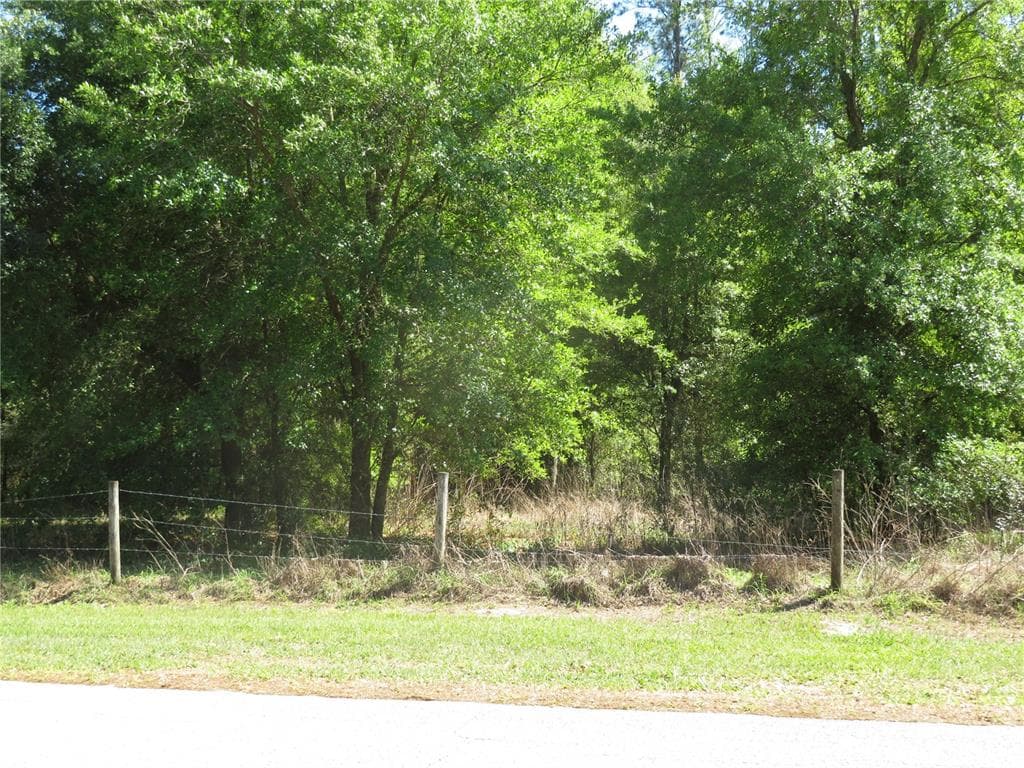 FLORIDA AVENUE SAN ANTONIO, FL 33576