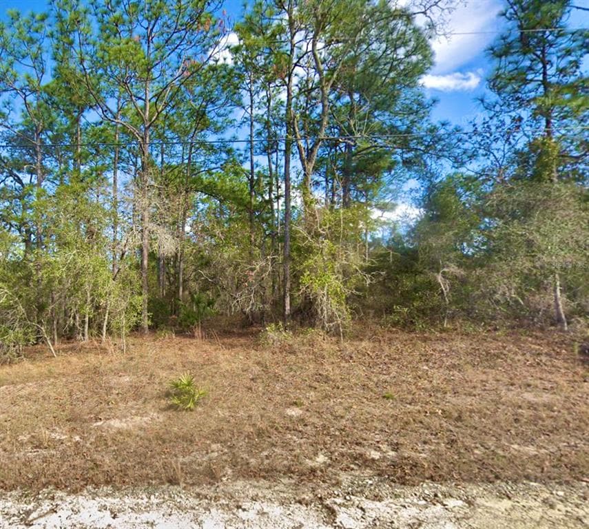 8110 NORDICA ROAD WEEKI WACHEE, FL 34613