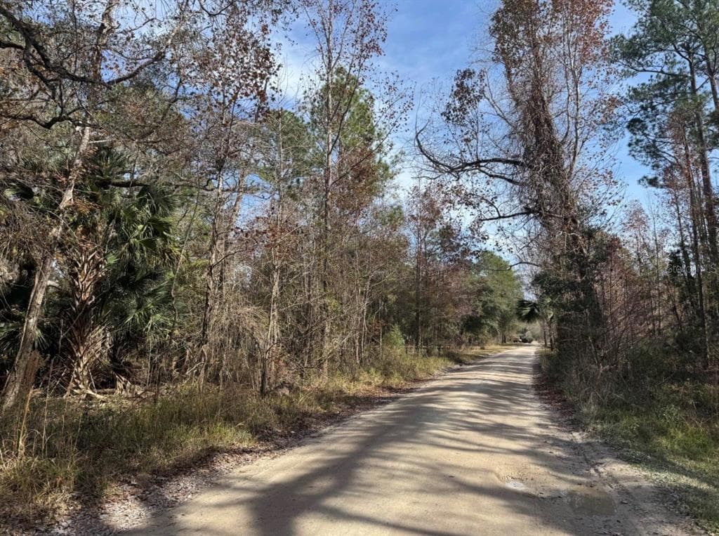 UNDETERMINED CITRA, FL 32113