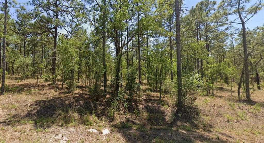 0000 NW GERANIUM AVENUE DUNNELLON, FL 34431