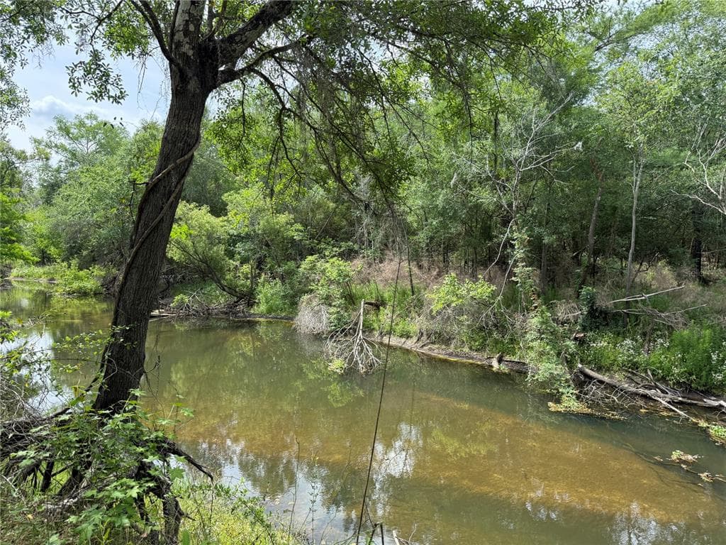 3205 PARK DR DADE CITY, FL 33523