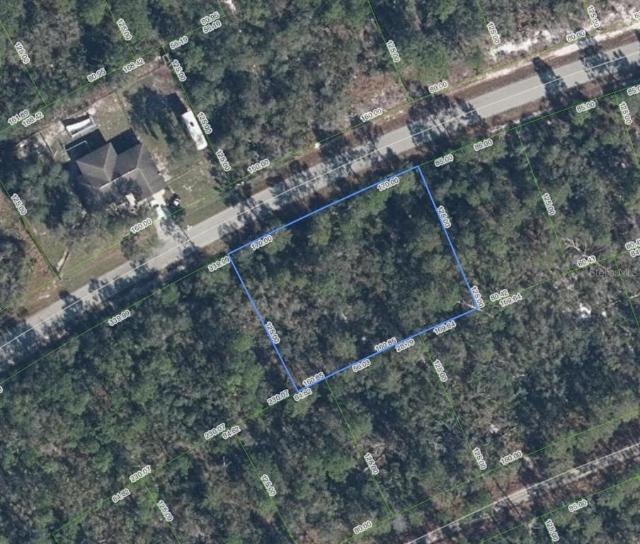 3122 COOLIDGE AVENUE LAKE PLACID, FL 33852