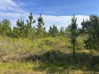 118 (BLK 356 LOT 9) TROPICANA DRIVE INDIAN LAKE ESTATES, FL 33855
