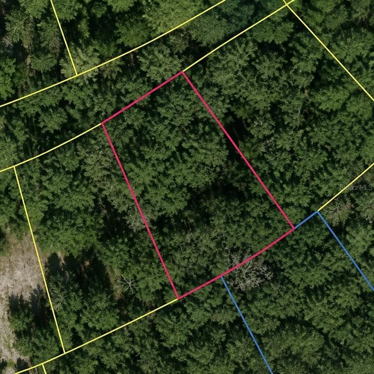 SE FISCHER LANE DRIVE OCKLAWAHA, FL 32179