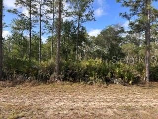1013 (BLK 299 LOT 18) ALBA DRIVE INDIAN LAKE ESTATES, FL 33855